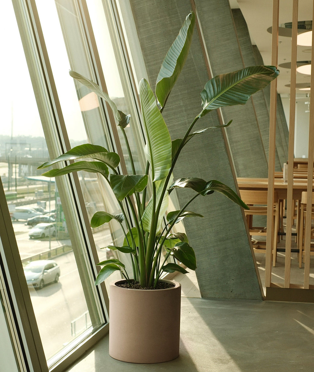 CHREIS 14- FLUGHAFEN ZÜRICH