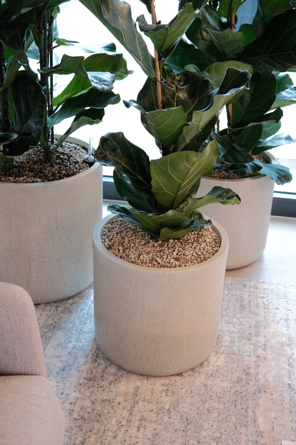 Tertianum Zürich Enge