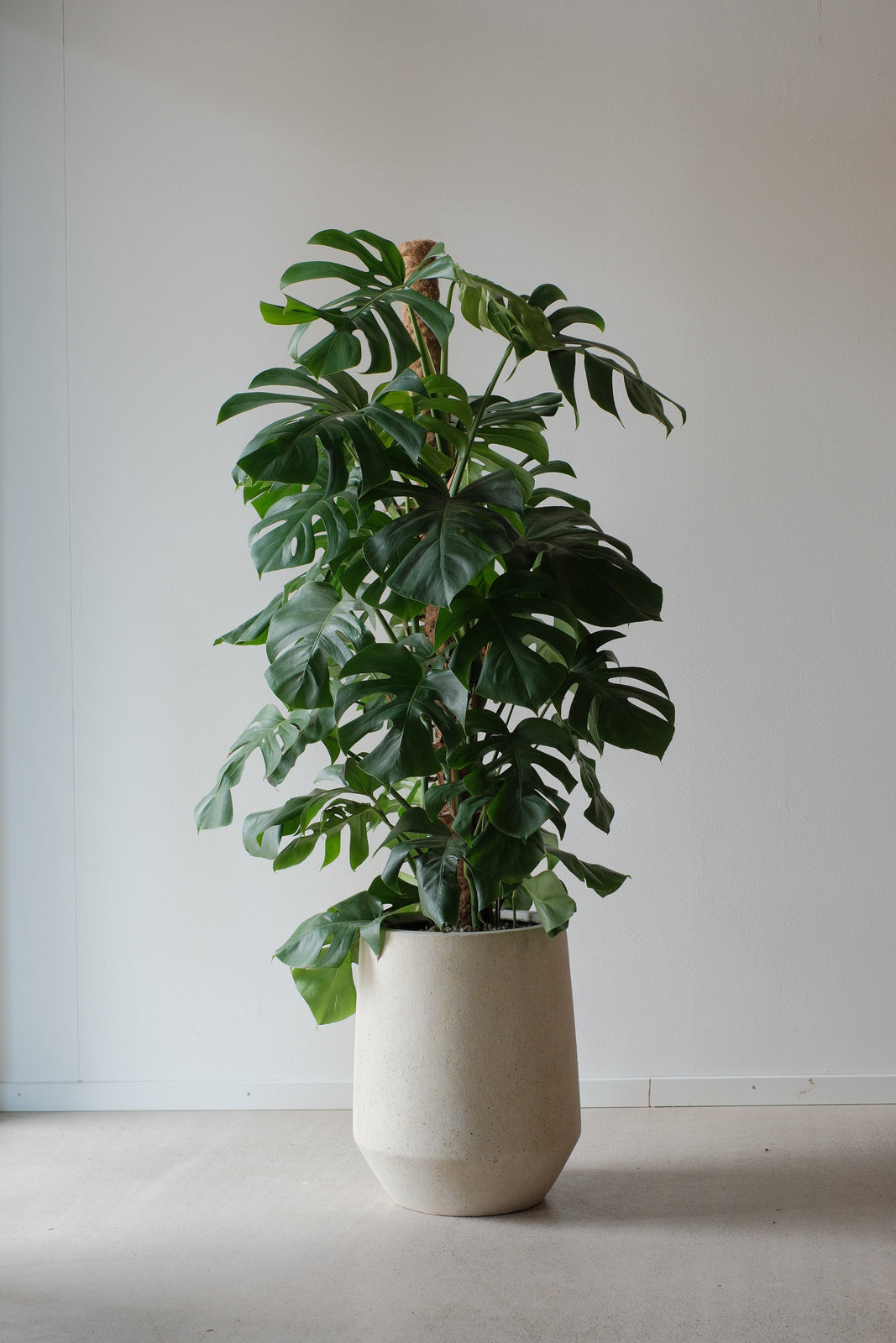 XL Beispiel 1