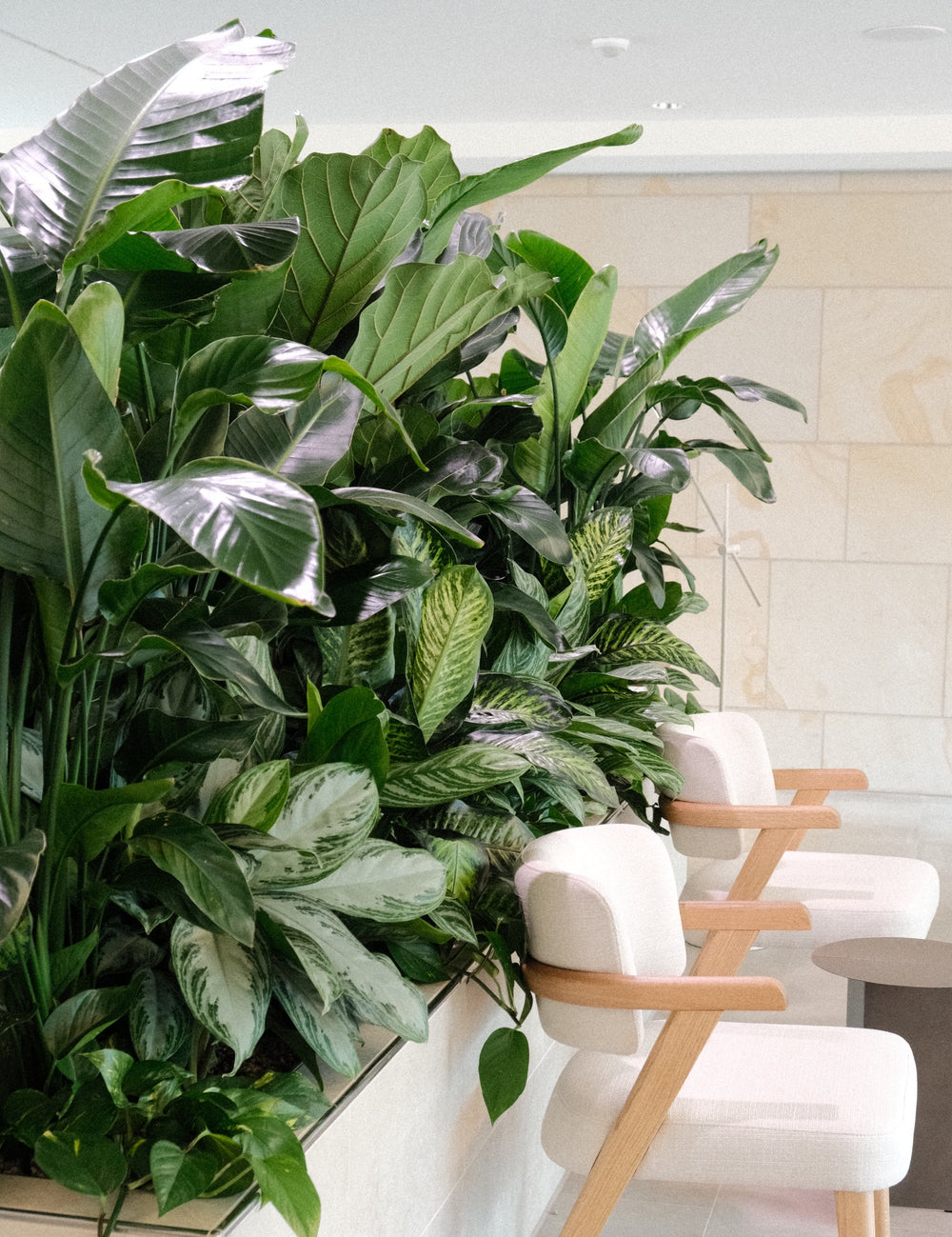 Tertianum Zürich Enge