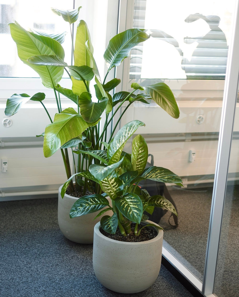 CNT Management Consulting