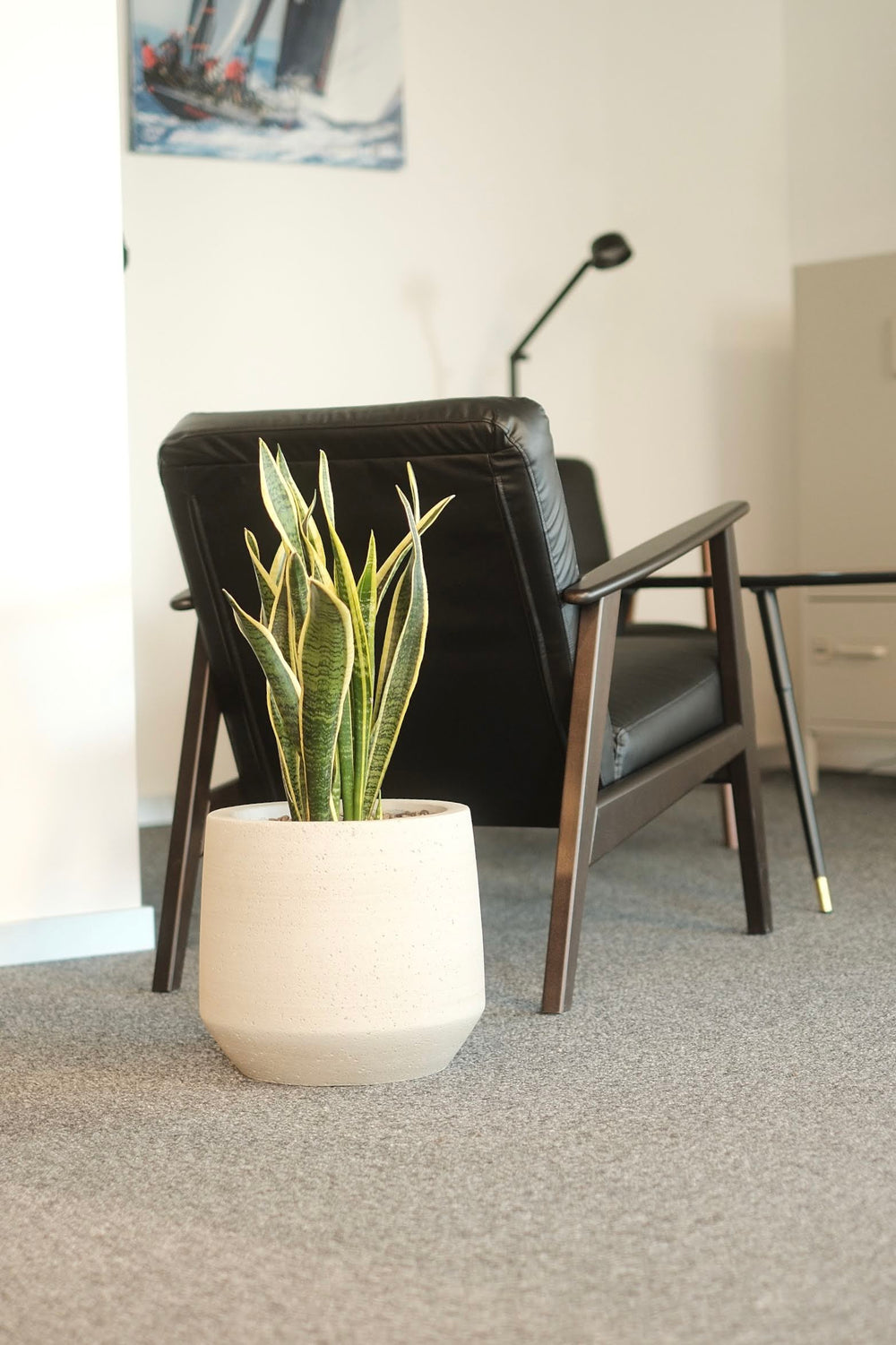 CNT Management Consulting