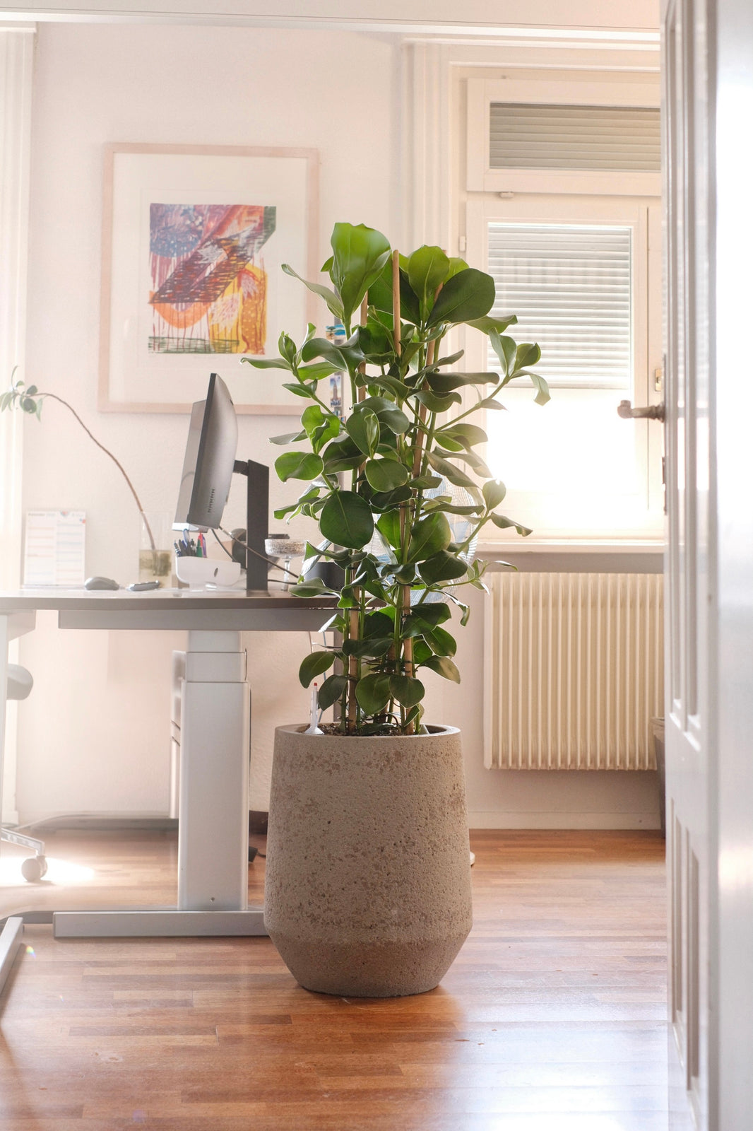 XL Beispiel 4